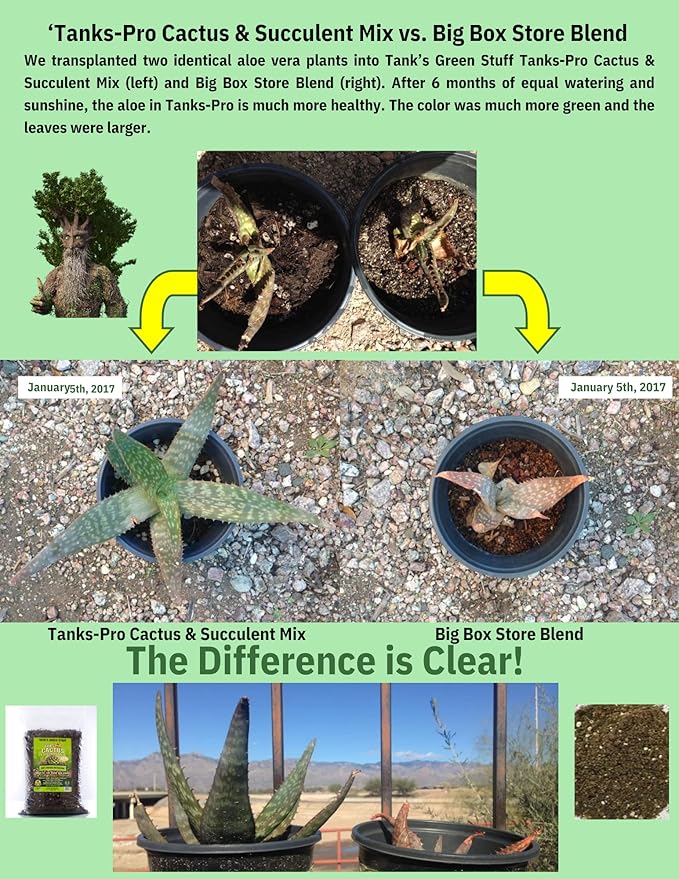 Tank's-Pro Cactus & Succulent Mix 16 qt Bag