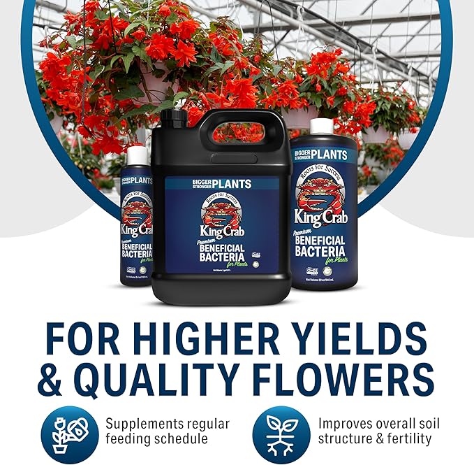 King Crab Root Stimulator for Plants, Ultra Concentrated OMRI Organic Bacteria, 275 Million Organisms per ml, Roses, Tomatoes, Houseplants, Soil Conditioner, Soil Activator, Soil Microbes