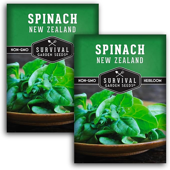 New Zealand Spinach Seed for Planting - 2 Packets with Instructions to Plant & Grow Tetragonia Tetragonoides in Your Home Vegetable Garden - Non-GMO Heirloom Variety - Survival Garden Seeds