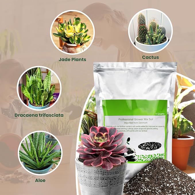 Succulent Cactus Potting Soil Mix (4 qt), All-Purpose Garden Soil for Indoor Outdoor Plants, Quick Drain Houseplant Orchid Bonsai Soil, Ready-to-Use Perlite Soil, Resealable Bag Design