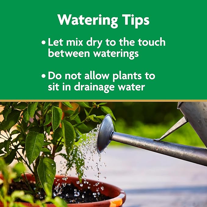 Miracle-Gro Potting Mix, For Container Plants, Flowers, Vegetables, Shrubs, Annuals, Perennials, Feeds up to 6 Months, 8 qt., 3-Pack