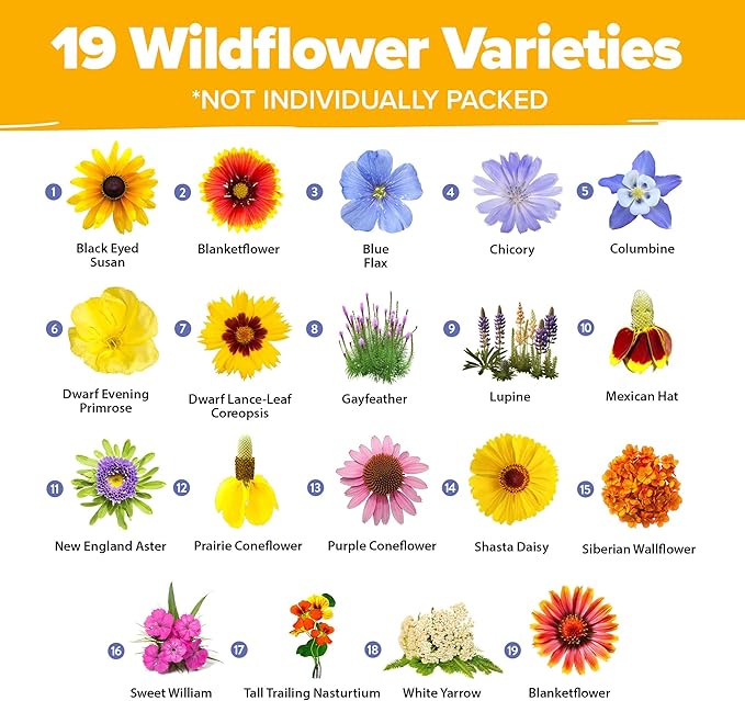 HOME GROWN 120,000+ Wildflower Seeds Bulk: (4oz) Perennial Wild Flower Seeds for Planting - Butterfly Garden Seeds for Attracting Birds & Bees - 25 Variety