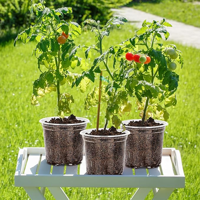 30 Pack 3.5/4/5/6/7 Inch Clear Nursery Pots with Drainage Holes, Transparent Plastic Pots for Plants, Reinforced Seed Starter Pots Garden Pots Flower Pots Indoor Outdoor