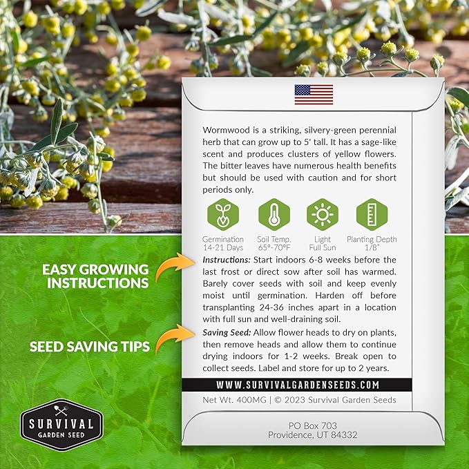 Wormwood Seeds for Planting - 2 Packets with Instructions to Plant and Grow Beneficial Medicinal Herbs in Your Home Herb Garden - Non-GMO Heirloom Variety - Survival Garden Seeds