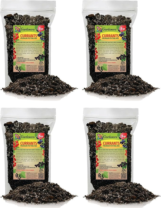 Premium Currant Plant Potting Soil Mix - Optimal Nutrient-Rich Blend for Thriving and Juicy Currants - 20 Quart
