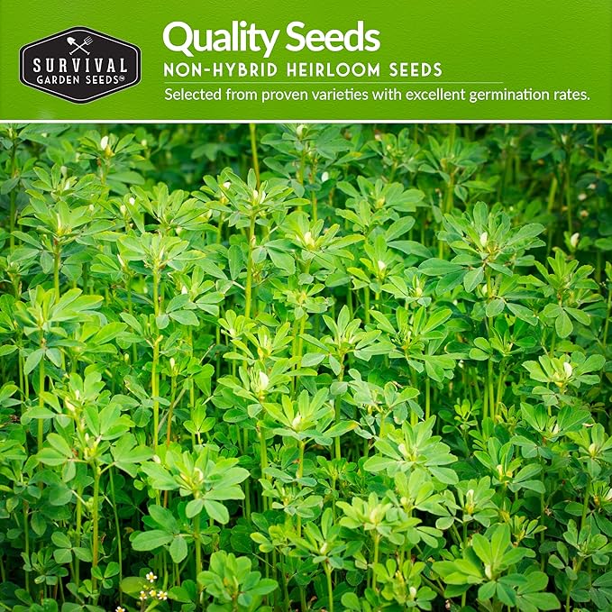 Survival Garden Seeds Spring Vegetable Seed Collection - 10 Packs with Root Veg, Leafy Greens & Cool Weather Essentials for Planting & Gardening- Non-GMO Heirloom Open-Pollinated Variety Pack