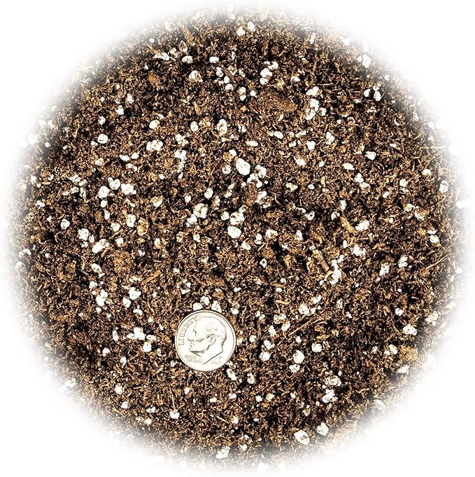 Premium Jade Plant Potting Soil Mix - (2 Quart Bag)