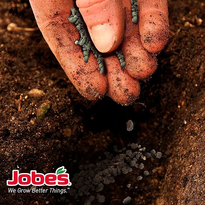 Jobe’s Organics Granular Fertilizer, Organic Fertilizer for Azaleas, Camellias, Rhododendrons, and Other Acid Loving Plants, 4 lbs Bag