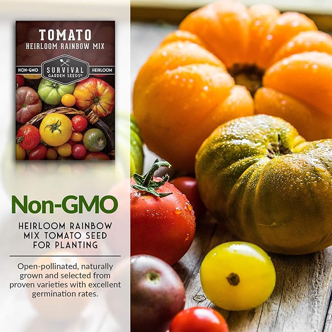Survival Garden Seeds - Heirloom Rainbow Mix Tomato Seed for Planting - Packet with Instructions to Plant & Grow in Your Home Vegetable Garden - Non-GMO Heirloom Rainbow Tomato Seeds Variety Pack