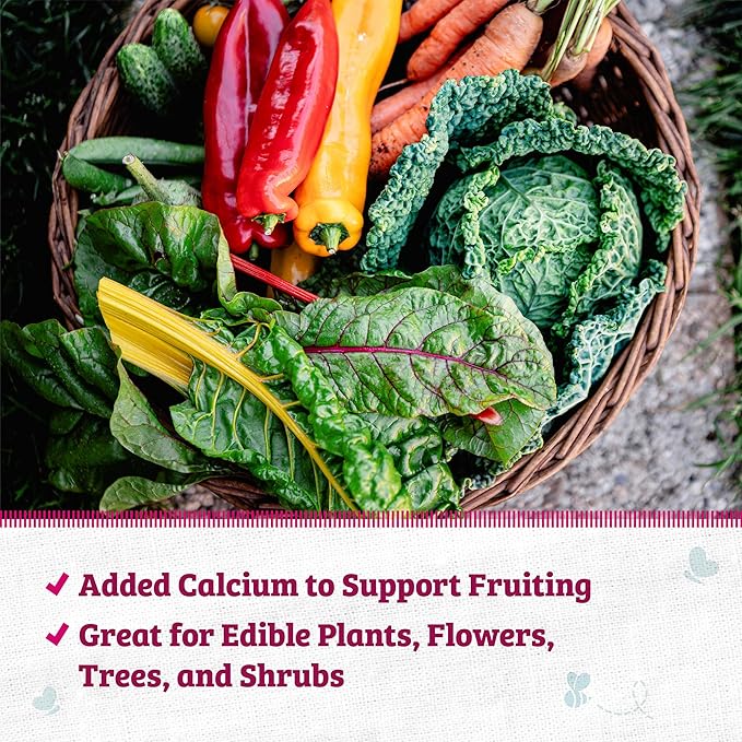 Back to the Roots 100% Organic Blood Meal | Made in The USA | Premium Nutrition for Indoor and Outdoor Plants