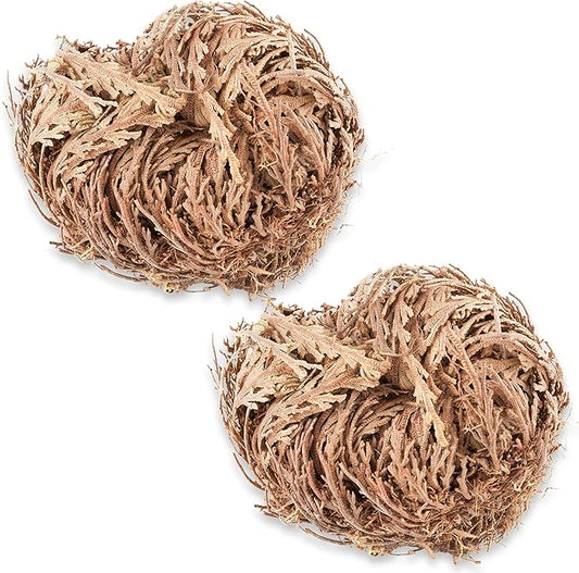TWO - Rose of Jericho Flower I MEDIUM Size | Flor de Jericó - Resurrection Plant | Selaginella Lepidophylla | Dried Rose I Doradilla Plant | 3''' - 4'' each I Spiritual Cleansing, Luck, and Prosperity