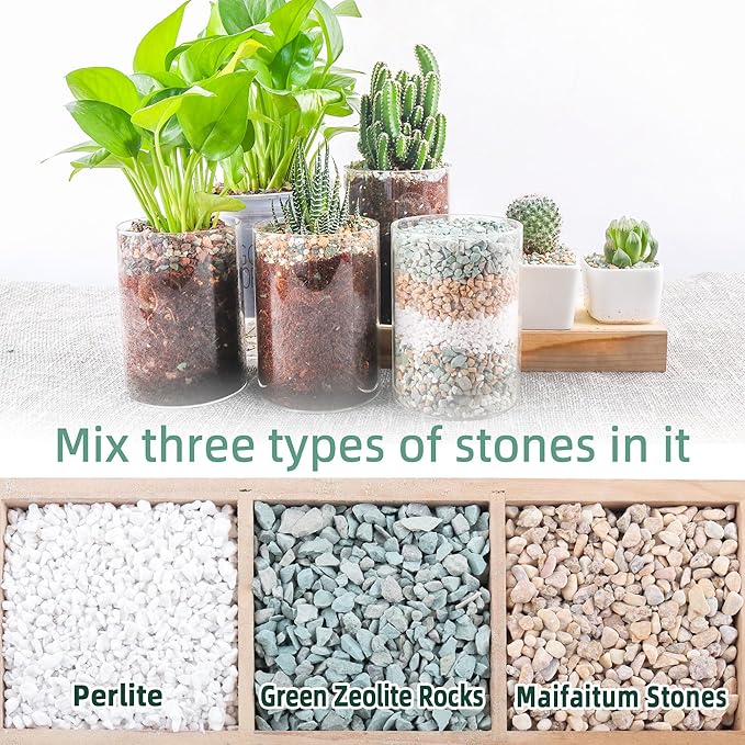 3lb Mix Rocks for Plants in Door -Mix Perlite,Maifanitum Stones,Zeolites Rocks for Bonsai Succulent Cactus Potting Soil and Vase Fillers, Fairy Gardening,Top Dressing