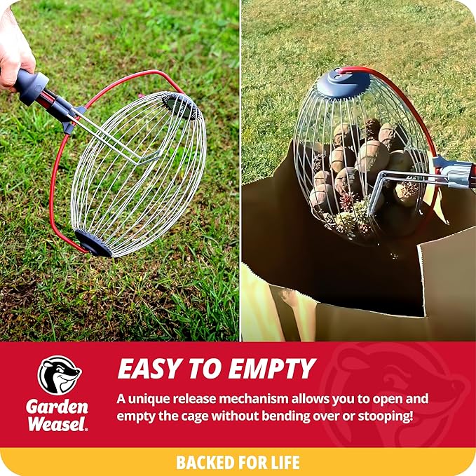 Garden Weasel Nut Gatherer - Large Cage | Pick Up Walnuts, Small Apples, Citrus Fruits, Tennis Balls | Nut Collector and Picker Upper Roller with Cage Spreader | 95404