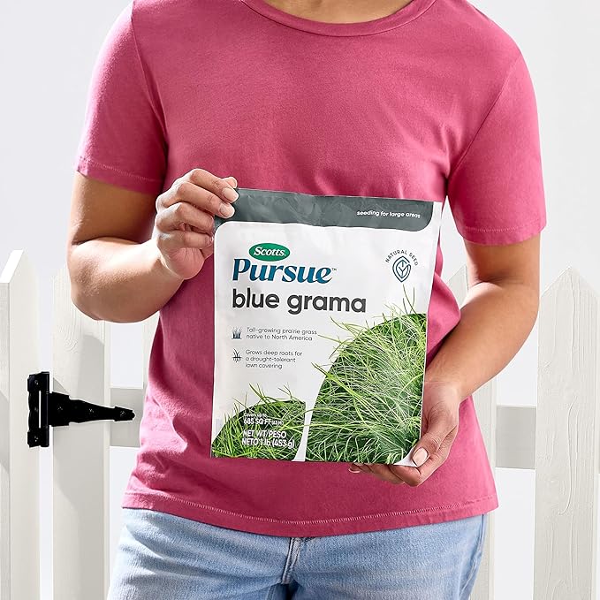 Scotts Pursue Blue Grama with Natural Seed, Seeding for Large Areas, 1 lb.