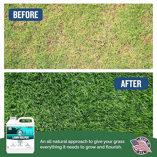 Turf Titan Lawn Kelper - Seaweed Fertilizer for Plants and Lawns - Liquid Lawn Fertilizer Feeds and Protects - Liquid Seaweed Fertilizer for Nutrient Absorption - 2.5 Gallon