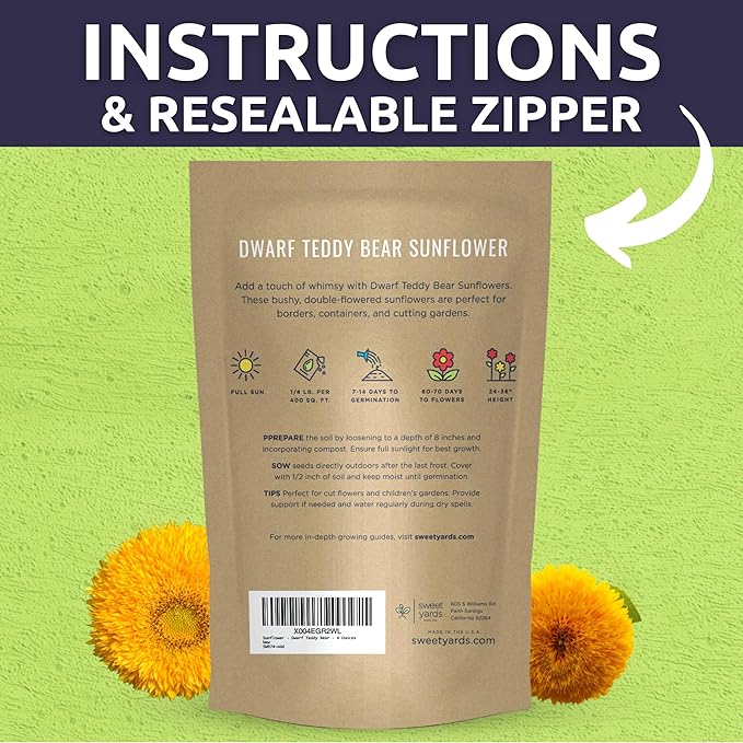 Dwarf Teddy Bear (Sungold) Sunflower - Bulk 1/4 Pound Pouch - 5,000 Flower Seeds for Planting - Helianthus annuus