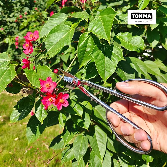 Satsuki Bonsai Scissors [Made in Japan] Professional 8.5 inch Garden Bonsai Tools Japanese Stainless Steel Hasami Pruning Scissors with Micro Serrated, Mirror Polishing Process
