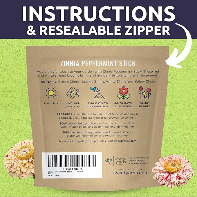 Zinnia Peppermint Stick - Large 1 Ounce Packet - 4,000 Flower Seeds for Planting - Zinnia elegans