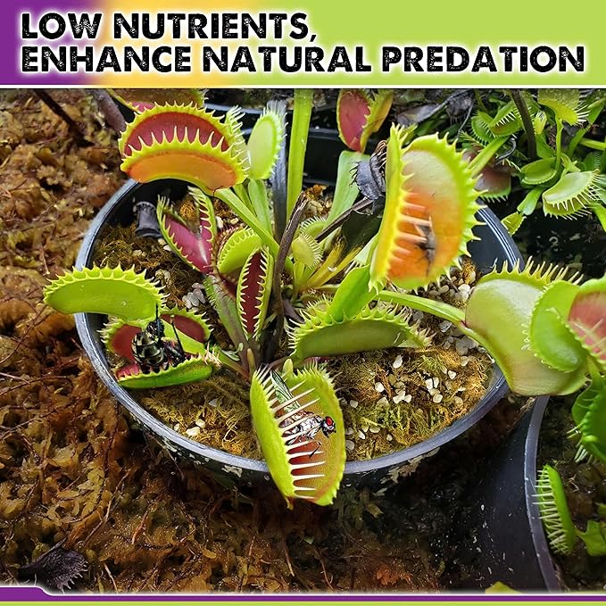 DUSPRO Carnivorous Plant Soil Mix 3QT-Include Forest Moss, Peat Moss, Perlite Potting Mix for Carnivorous Plants, Carnivorous Plants, Pitcher Plant, Butterworts, Sundews - Carnivorous Plant Food