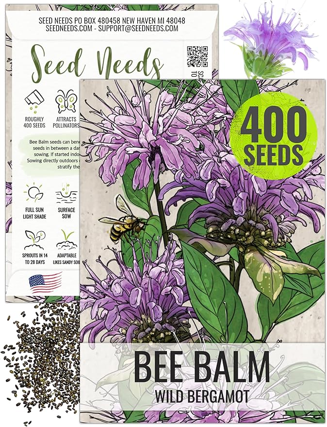 Seed Needs, Wild Bergamot Bee Balm Seeds - 400 Heirloom Seeds for Planting Monarda fistulosa - Attracts Honeybees, Bumblebees, Butterflies & Other Pollinators (1 Pack)