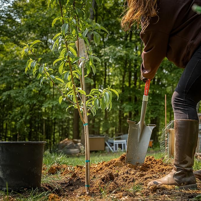 Radius Garden 25111 Pro-Lite Ergonomic Carbon Steel Spade, Red