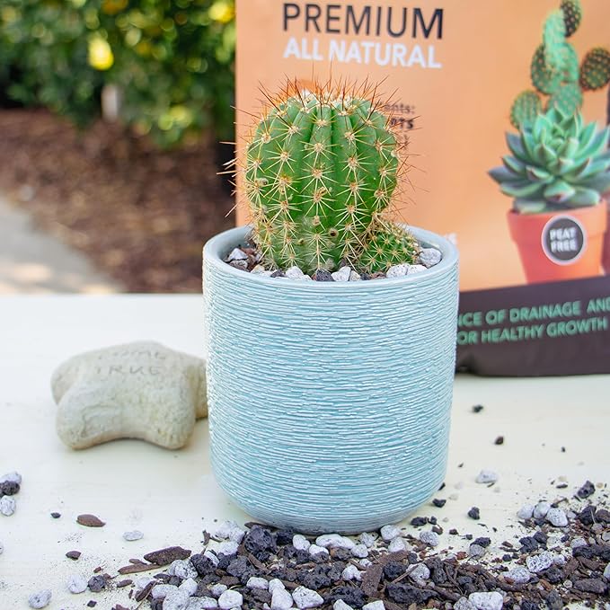 Premium Organic Cactus & Succulent Potting Soil Mix - Well Draining Blend with Biochar, Mycorrhizae & Worm Castings for Healthy Growth! 4 quarts