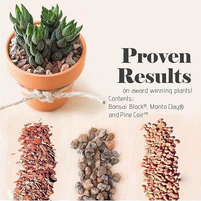 Succulent and Cactus Soil - Jacks Gritty Mix - 6 Gallons – Fast Draining – Fight Root Rot – Optimized pH