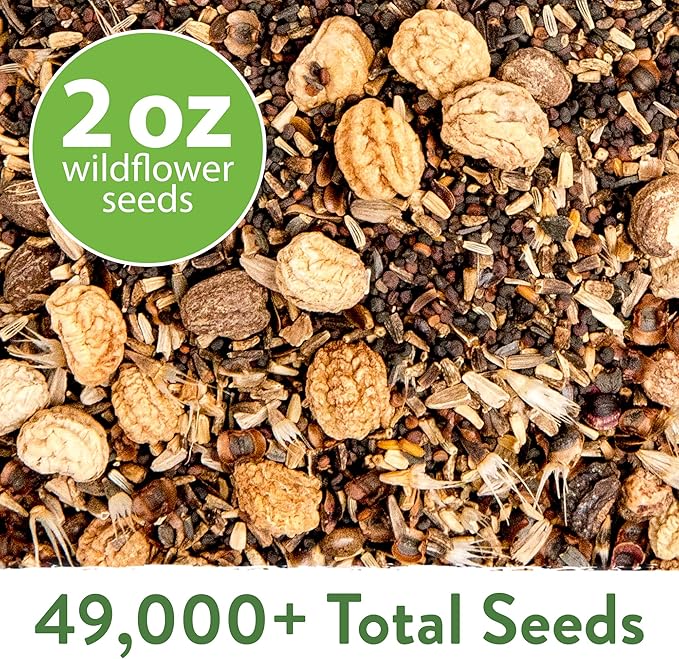 HOME GROWN 49,000+ Wildflower Seeds: (2oz) Bulk Mix, 21 Varieties Wild Flower Mix - Bee and Butterfly Garden Pack - Native Annual Flowers for Planting for Your Garden