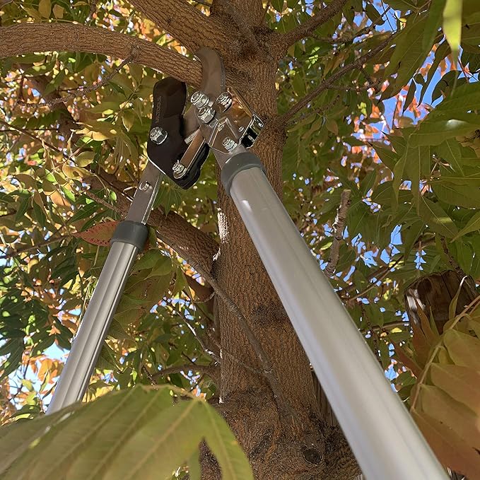 Ratcheting Extendable Bypass Lopper for Gardening - Heavy Duty Ratchet Lopper 39½" Extendable Long Handle – Chops Through 1-3/4” thick Branches – Ideal for All Gardening Enthusiasts - L8230