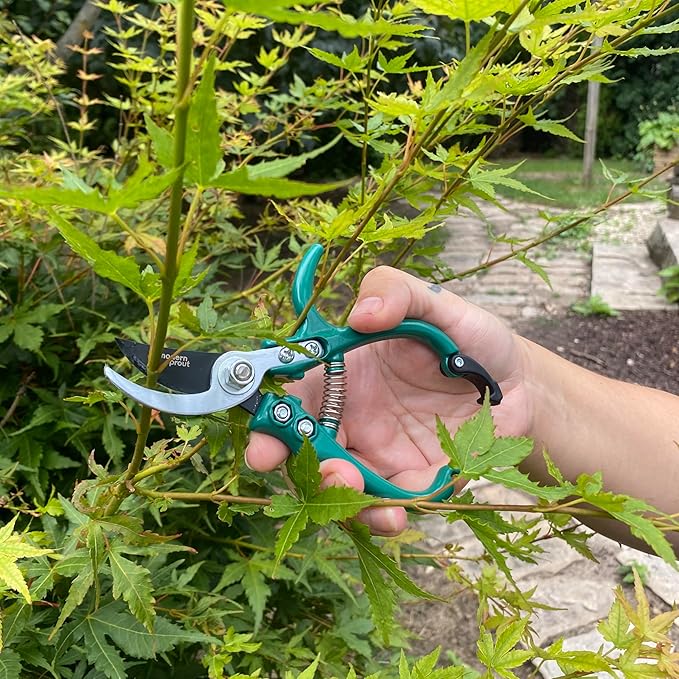 Modern Sprout Gardening Pruners, Lightweight, Durable, Green, One Size (Ocean)