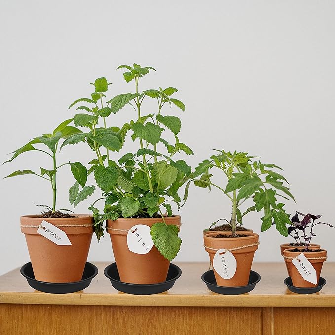 6 Pack Plant Saucer Tray, 4 6 8 10 12 13 15 17 19 inch Plant Saucers, Heavy Duty Plastic Plant Saucers for Indoors, Bird Bath Bowls, Flower Plant Water Trays for pots Planter (6", Black)