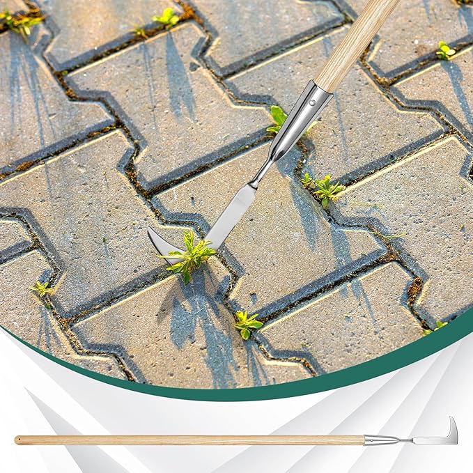 Lothee Garden Long Handle Crack Weeder 54 Inch Stainless Steel Crevice Weeding Tool L Shaped Weed Puller Tool Weed Remover Tool Long Handled Manual Weeders for Lawn Yard Patio Gardening Grass Cutter