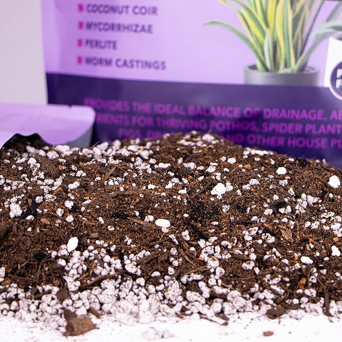 Premium Organic Indoor Houseplant Potting Soil Mix - Perfect for Pothos, Spider Plants, Fiddle Leaf Figs, Dracaenas, and Other House Plants! 4 quarts