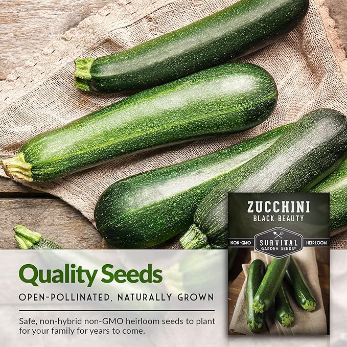Survival Garden Seeds - Black Beauty Zucchini Seed for Planting -2 Packs with Instructions to Plant & Grow Dark Green Summer Squash Plants in Your Home Vegetable Garden - Non-GMO Heirloom Variety