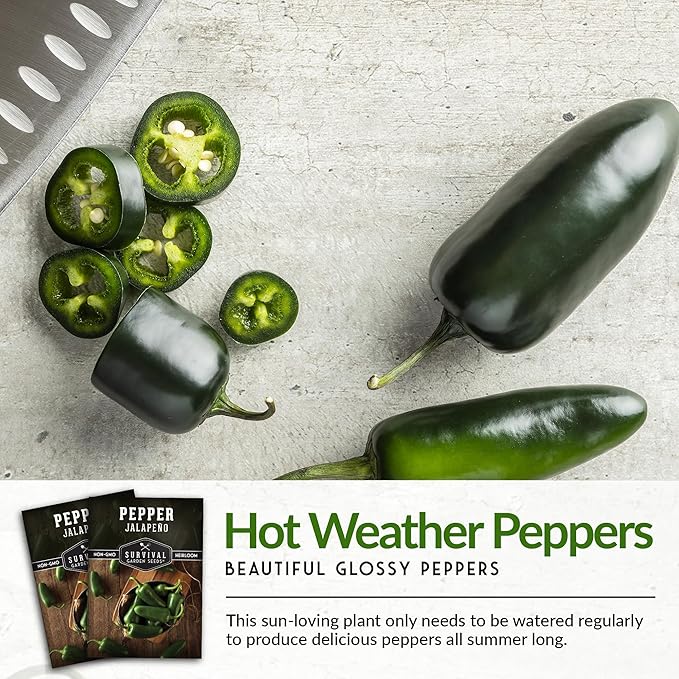 Survival Garden Seeds - Jalapeño Pepper Seed for Planting - Packet with Instructions to Plant and Grow Green or Red Chili Peppers in Your Home Vegetable Garden - Non-GMO Heirloom Variety - 5 Pack
