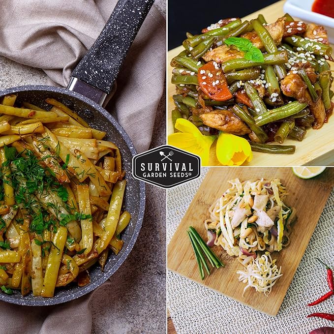 Survival Garden Seeds - Tri-Color Bean Seed for Planting - 5 Packs with Instructions to Plant and Grow Yellow, Purple, and Green Bush Beans in Your Home Vegetable Garden - Non-GMO Heirloom Variety