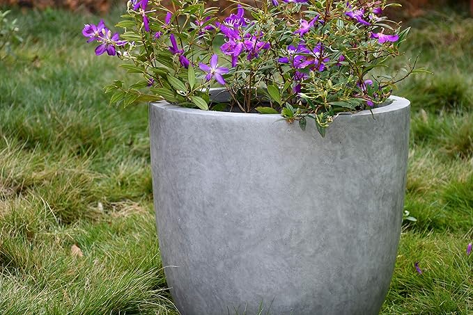 Kante 14 Inch Dia Round Concrete Planter, Indoor Outdoor Large Plant Pot with Drainage Hole and Rubber Plug for Home Patio Garden, Natural Concrete