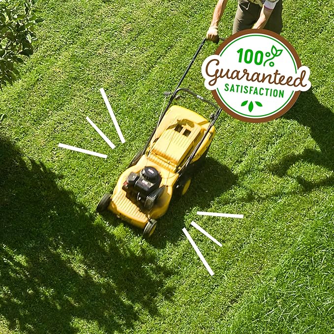 Back to the Roots 100% Organic USA-Made Liquid Lawn Food 32oz Covers 2,000 sq ft Safe for Pets and All Lawn Types