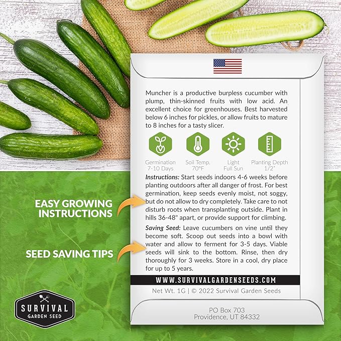Survival Garden Seeds 1 Pack Muncher Cucumber Seeds for Planting – Seed Packet with Instructions to Grow Burpless Slicing Cucumbers in Your Home Vegetable Garden - Non-GMO Heirloom Variety
