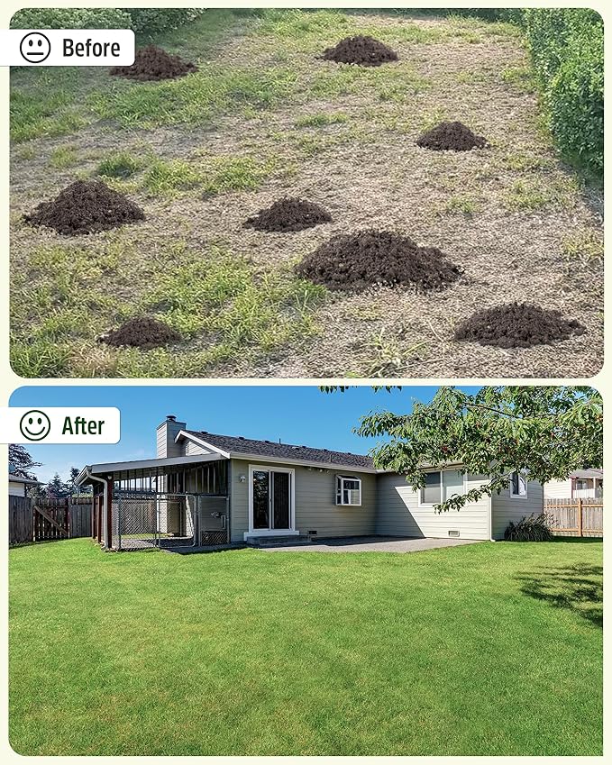 Lawn Leveling Rake,Stainless Steel Lawn Leveler with 45”x10” Ground Plate, 78” Adjustable Long Handle, Heavy Duty Large Level Lawn Tool for Grass, Golf Field, Level Soil or Dirt Ground Surfaces-Green