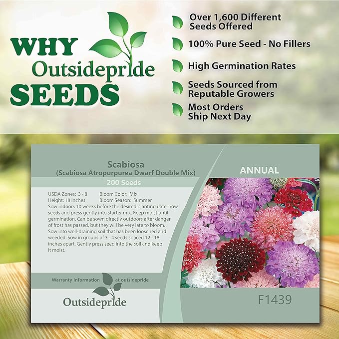 Outsidepride 200 Seeds Perennial Dwarf Double Scabiosa Pincushion Flower Seed Mix for Planting