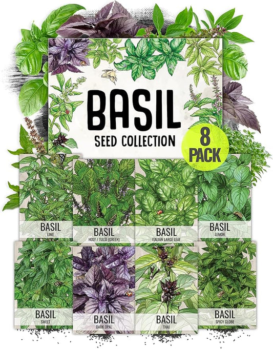 Seed Needs, Culinary Basil Herb Seed Packet Collection (8 Individual Basil Seed Varieties for Planting) Non-GMO & Untreated