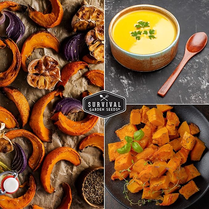 Survival Garden Seeds Fairy Tale Pumpkin Seeds for Planting – Packet with Instructions to Plant & Grow Pumpkins in Your Home Vegetable Garden - Non-GMO Heirloom Seeds