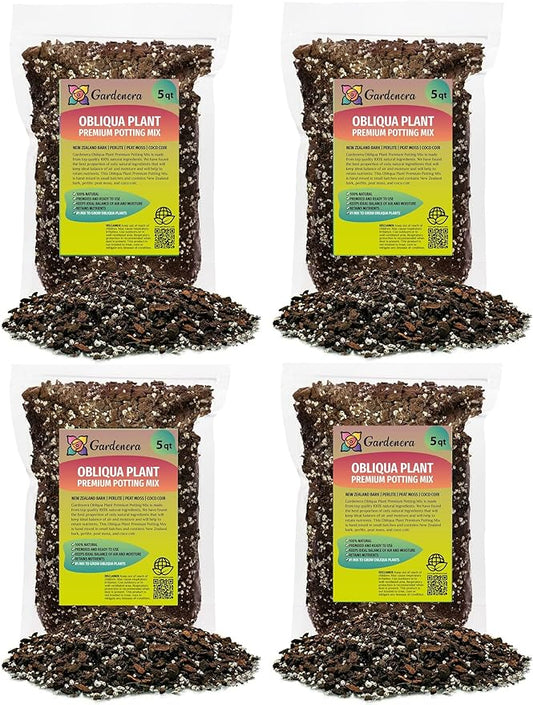Monstera Obliqua Soil Mix - Trusted by Experts for Strong and Healthy Plants - 20 Quart (4 Bags of 5 Quart)