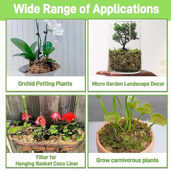 4LB Sphagnum Moss for Plants Indoor, Premium Peat Moss for Reptiles Terrarium-80 Quarter, Natural Long Fiber Orchid Moss for Repotting Propagation Succulent Sarracenia Carnivorous Gardening