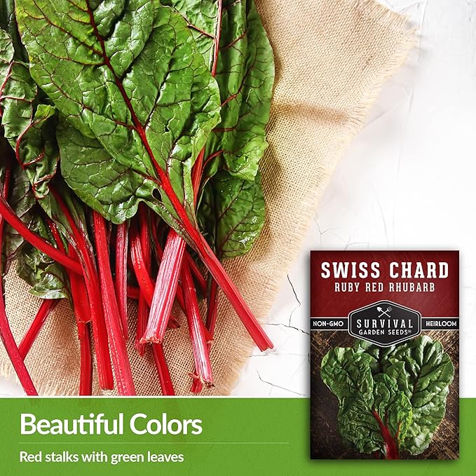 Survival Garden Seeds - Ruby Red Rhubarb Swiss Chard Seed for Planting - 5 Packs with Instructions to Plant and Grow Delicious Leafy Greens in Your Home Vegetable Garden - Non-GMO Heirloom Variety