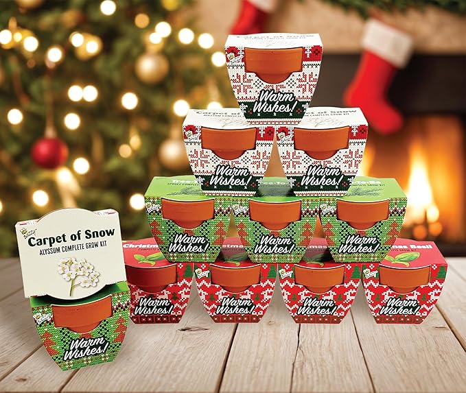 Buzzy Seeds Holiday Sweater Terracotta Mini Grow Pots | Assorted 12-Pack | Christmas Basil, Spruce, Alyssum | Herb Starter Kit for Kids & Adults | Guaranteed To Grow | Gifts, Favors, Stocking Stuffers