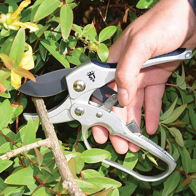 Spear & Jackson 6258RS Razorsharp Compact Ratchet Anvil Pruners