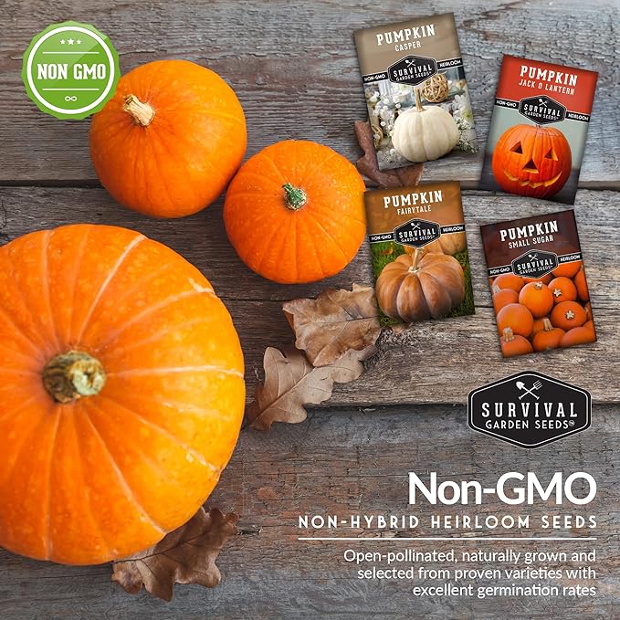 Survival Garden Seeds Pumpkin Collection Seed Vault - Non-GMO Heirloom Seeds for Planting Vegetables - Casper, Fairy Tale, Jack O'Lantern, Small Sugar Pumpkins for Growing in Your Vegetable Garden