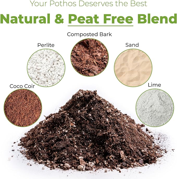 Perfect Plants Organic Pothos Soil | Horticultural Potting Mix for All Indoor Potted Pothos | Grow Healthy houseplants Indoors (4qts.)